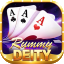 rummy expert apk