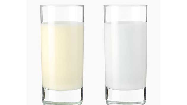 Sữa non alpha lipid và sữa thường