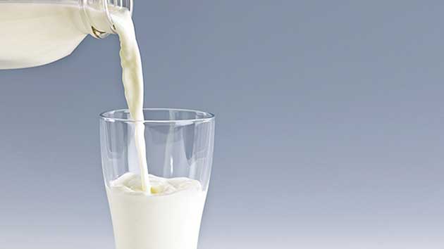 Người bệnh xương khớp nên dùng sữa non alpha lipid.