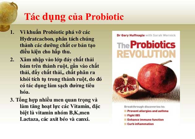 Tác dụng của probiotic